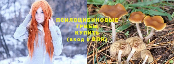 мяу мяу мука Лиски