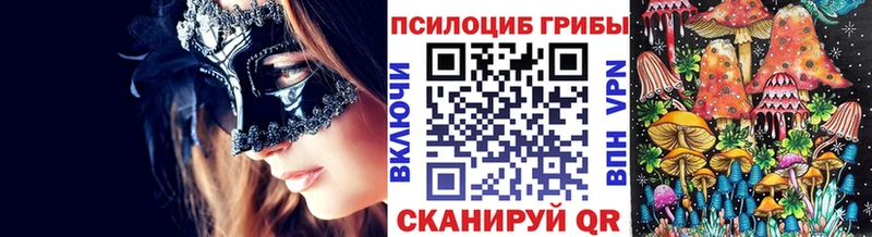купить наркотики сайты  Новая Усмань  Псилоцибиновые грибы Magic Shrooms 